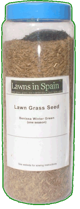 grass seed, grass seeds, lawn grass seed, grass seed
