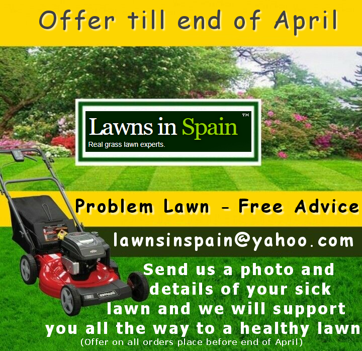 Lawn Care, Grass Care & Property Services Lawns in Spain