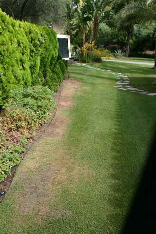 lawns near hedges. lawns next to hedges.