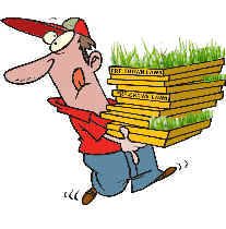 Instant Lawn. easy lay lawn. quicklawn.