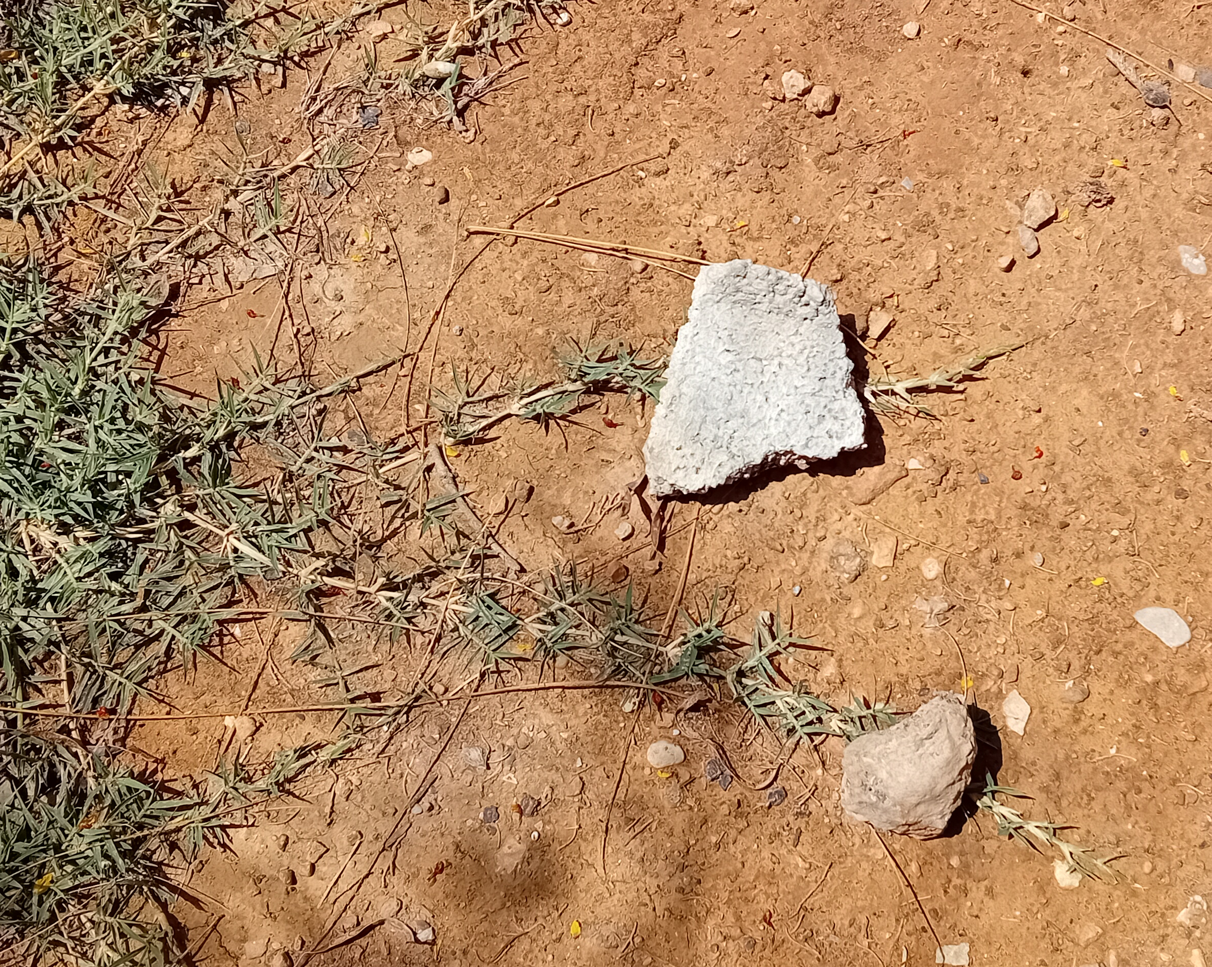 Artificial Grass Alternative