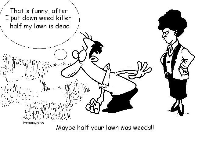 lawn weed killers, selective weed killers. lawn herbicide. weedkiller for lawns.