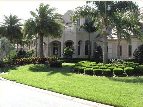 bespoke spanish lawn solutions. real grass lawns. lawn solutions spain. spanish lawn suppliers. spanish lawn providers. green lawns of spain. spanish dream lawns. spanish grass landscapes. green green grass of spain. lawn turf.