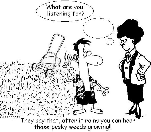 greengrass lawn cartoons, green grass, greengrass