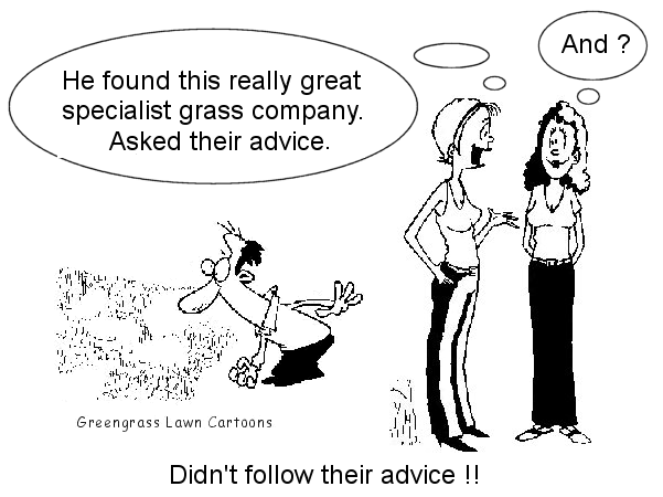 greengrass lawn cartoons, green grass, greengrass