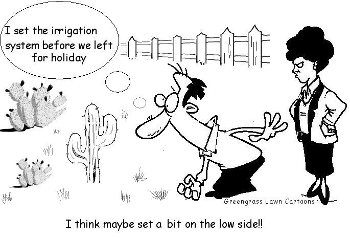 irrigation, lawn irrigation, automatic irrigation